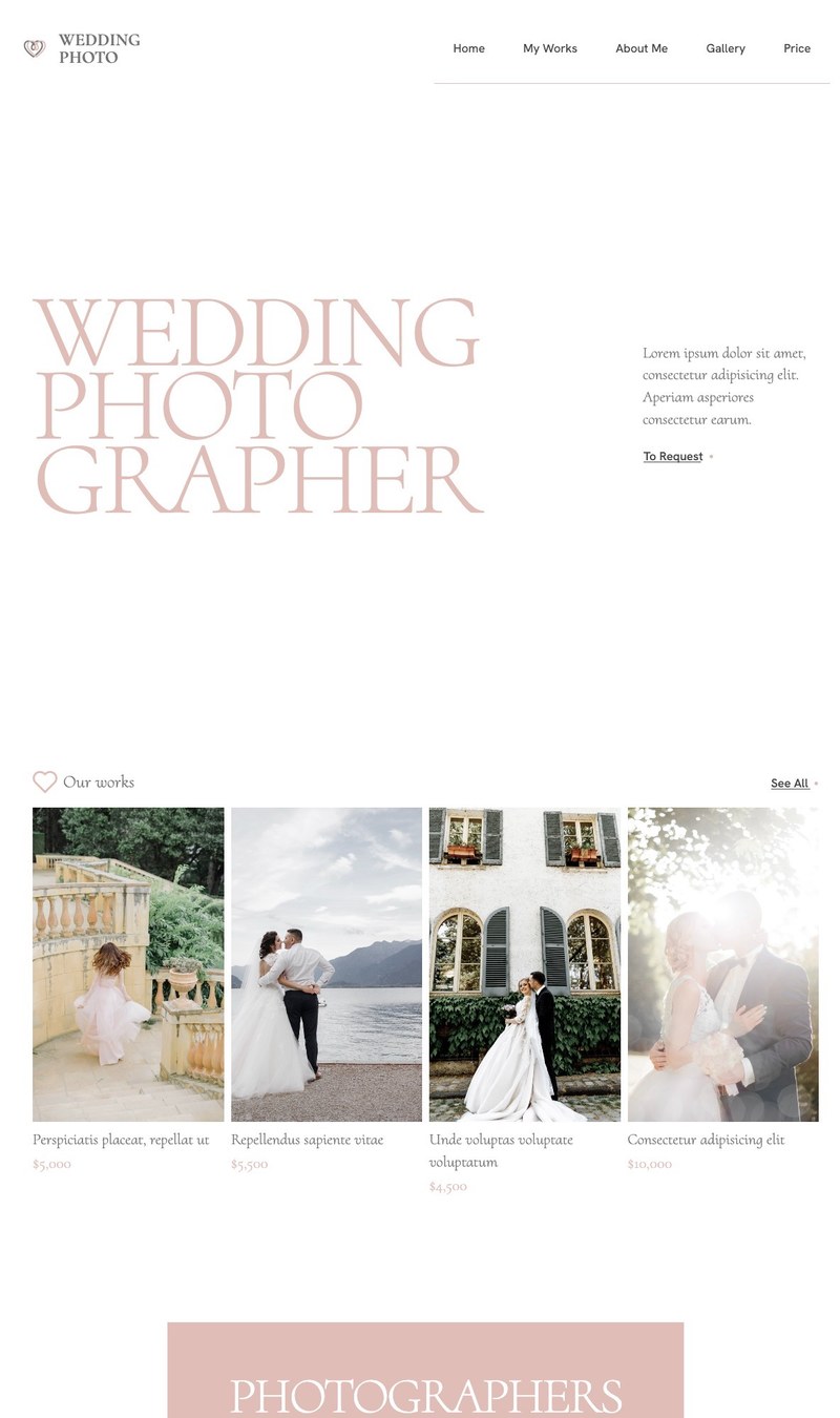 Wedding Photographer